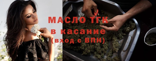 стаф Бородино