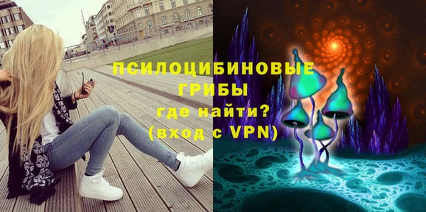 стаф Верея