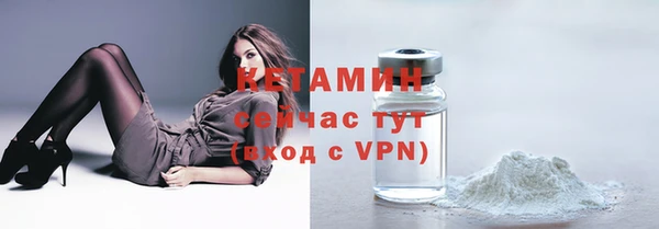 стаф Бородино