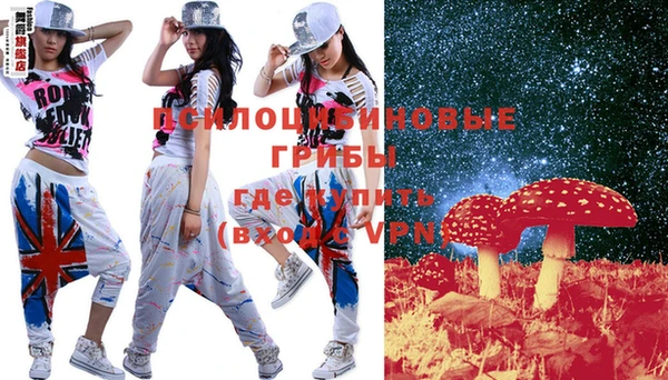 стаф Верея