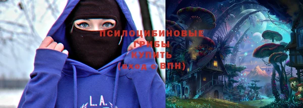 стаф Бородино