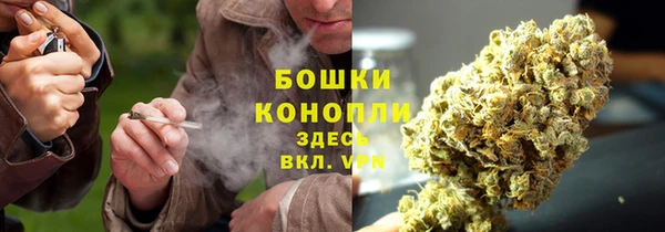 стаф Верея