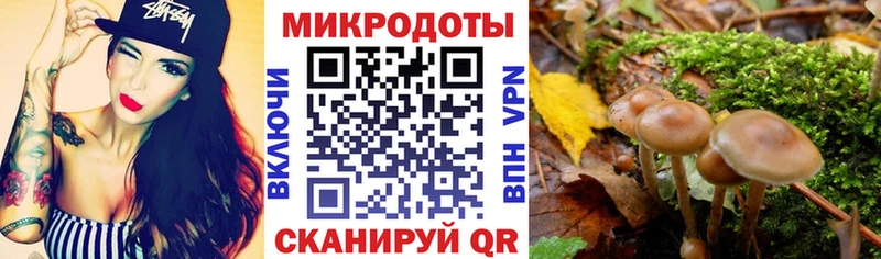 хочу наркоту  мориарти телеграм  Псилоцибиновые грибы Magic Shrooms  Дубовка 